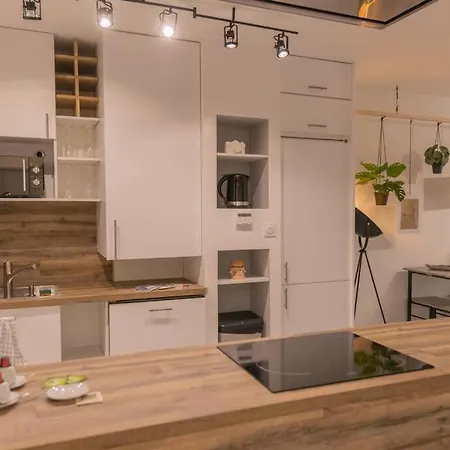 Apartmán Superbe Plein Centre Avec Parking & Jardin