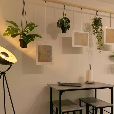 Apartment Superbe Plein Centre Avec Parking&jardin Metz