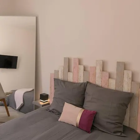 Superbe Plein Centre Avec Parking & Jardin Metz