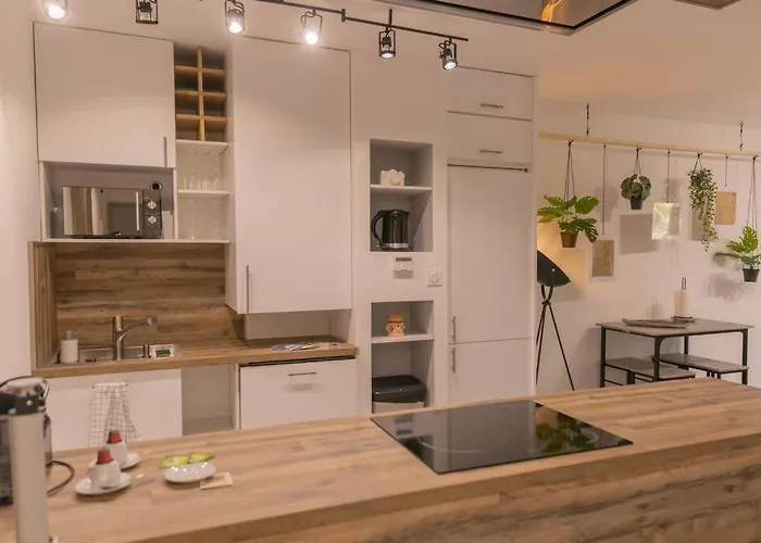 Apartment Superbe Plein Centre Avec Parking&jardin