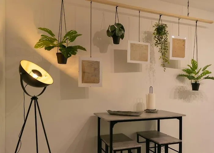 Apartment Superbe Plein Centre Avec Parking & Jardin Metz